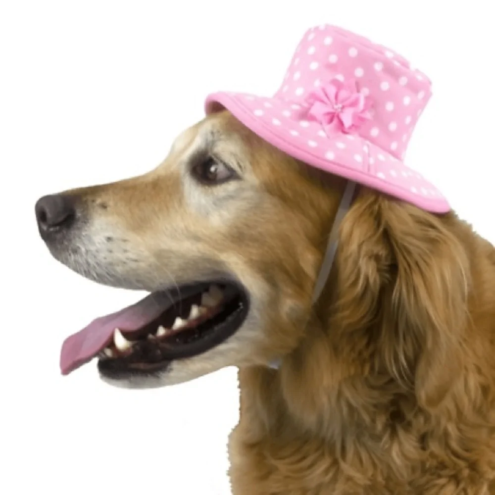 DOGS VIBRANT LIFE PINK BUCKET HAT M/L